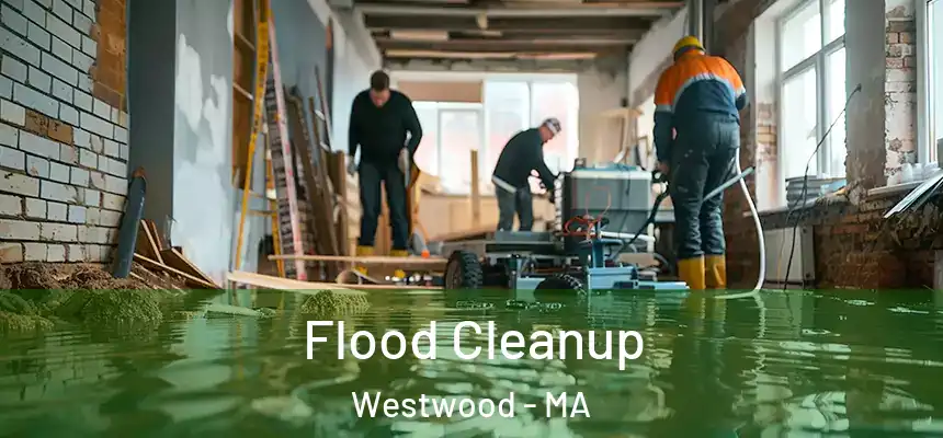 Flood Cleanup Westwood - MA