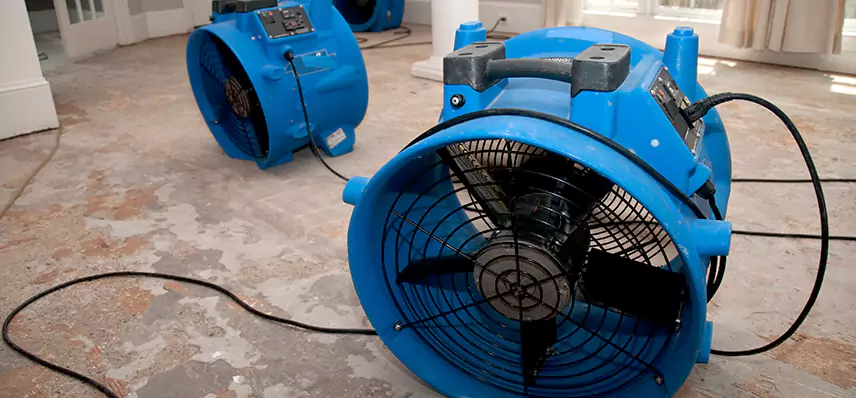 Sewage Removal Services in Dedham