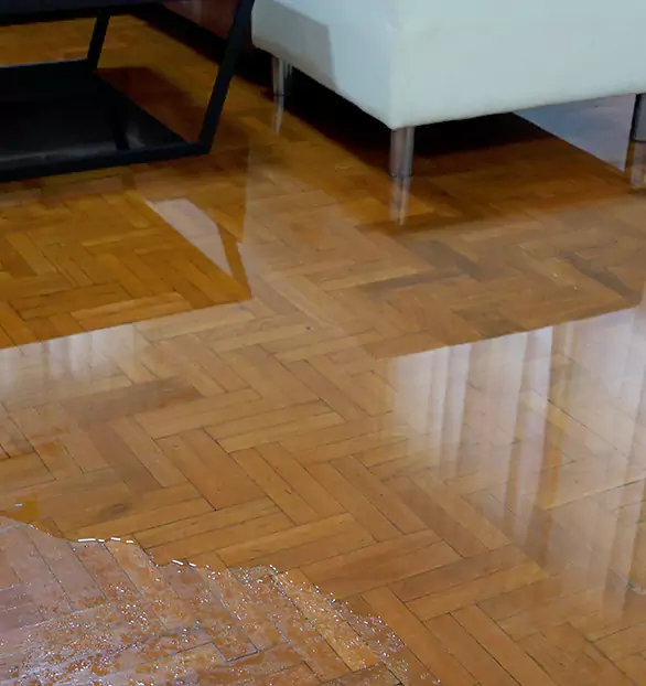 Trusted Emergency Water Restoration Company in Dedham, MA