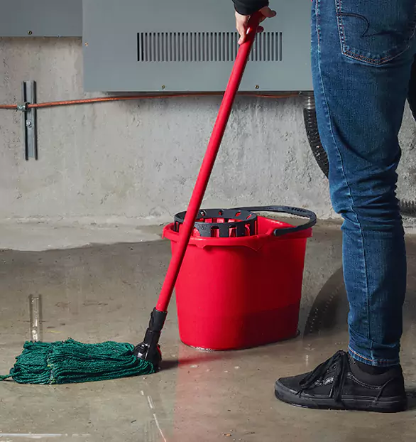 Trusted Sewage Cleanup Company in Dedham, MA