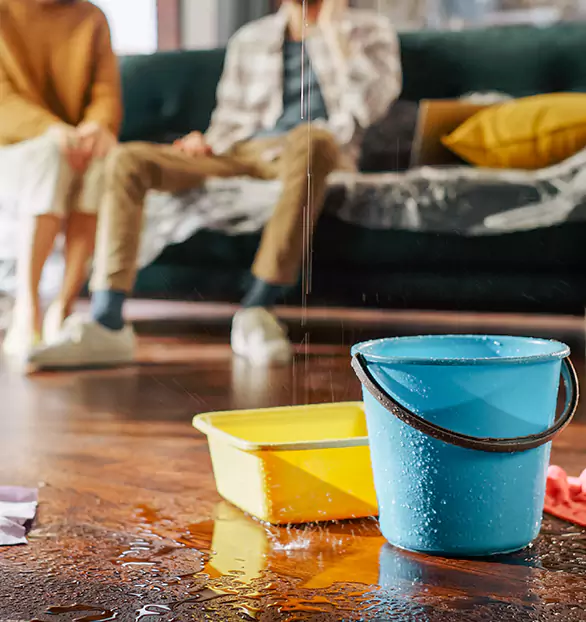 Trusted Water Remediation Company in Dedham, MA